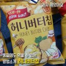 허니펫 이미지
