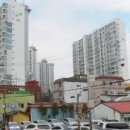 동안생약국