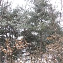 산하의물결 Daum카페