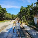 송림테마거리 | 포항 아이와 물놀이 가볼만한곳 송도 송림테마거리