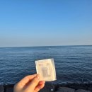 얌샘김밥사천케이씨씨점 | 제주도(1)