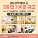 고운 치과기공소 네이버블로그