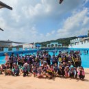 숨 익스트림 태권도장 이미지