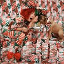 시아(SIA) 이미지