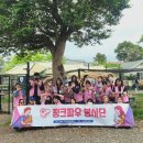 제주냐옹실 고양이미용 | [제주냐옹실 고양이미용]스루밍아카데미 미용봉사 후기! 핑크파우 봉사단 × 제주캣월드