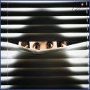 개웃기냥