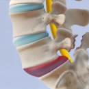 휴고든정형외과의원 이미지