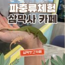 삼막7 | [안양 카페] 카멜레온 만나러 삼막창고카페 후기