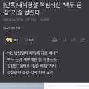 [단독]대북정찰 핵심자산 백두-금강 기술 털렸다 이미지