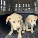 관산리마을회관 이미지