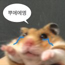 수원 행복약국 | 수원 인계동 실리프팅 잘하는 곳 솔직 후기:: 60대 엄마 효도선물 ⭐️