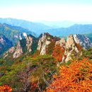 속리산 - 성남시 중원구 시민로117번길 2 | 속리산