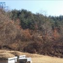 조산동회관 네이버블로그