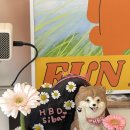 봄이까까 이미지