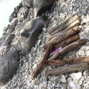 송담2로 이미지