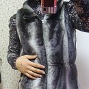 뽕필