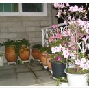 환경교육(음식물 폐기물 처리) 이미지