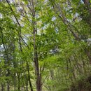 어등산등산로 이미지