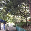 새날의전 | 바벨론포로후기 말씀묵상