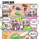 코코넛콘 이미지