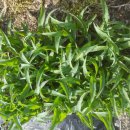 소연농장 이미지