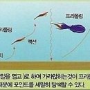 프리폴링