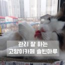 솔빈 마루 이미지