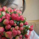 대황상사