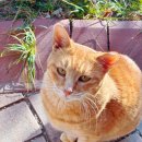 오래하는약국 이미지