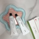 코뿔소환경 | 양치덧 걱정 끝! 에이카랩스 입덧치약 & 코뿔소칫솔 후기🦷