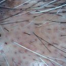 도원한의원 이미지