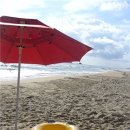 송지호 오토캠핑장 이미지