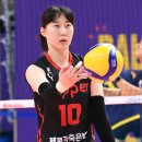 박정아 카카오 검색결과