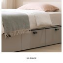 티에드