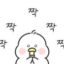 스콜라몬테소리고양 이미지