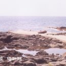 마라도 바다민박 이미지