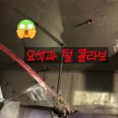 비트로남구
