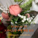 지니슈즈 | 8탄 브라이드윤 부케 · 베일 · 웨딩슈즈 후기｜드레스 완성도를 높여주는 웨딩 소품