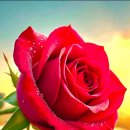 Rose-la liste / Que tu reviennes / Movin' Out / Call To Say..(색소폰) 이미지