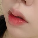 비즈뷰티 | 키시닝뷰티 틴트 비즈 글로우 틴트 2호 레드허쉬 내돈내산 후기