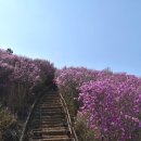 천주산 만남의 광장 이미지