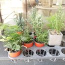 하나로꽃집 이미지