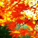 우천어린이집 이미지