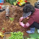 신전원일기 이미지