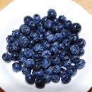 마실휴양농원 이미지