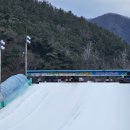 개랑 나들이 | ❄ 전주 모악산 모악랜드 눈썰매장 완벽 후기 – 두 개의 썰매장 + 토끼 체험까지! 아이부터 어른까지...