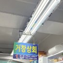 부산 광안리 민락회타운 방어 포장 추천 거창상회