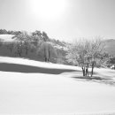 하이얀목장 이미지