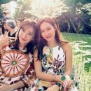 디자인지니 이미지