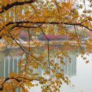 라스페란자 이미지